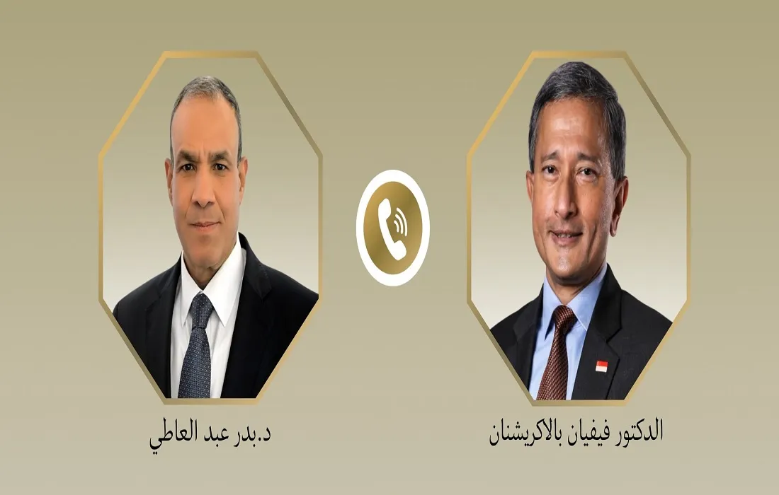 وزير الخارجية المصري ونظيره السنغافوري