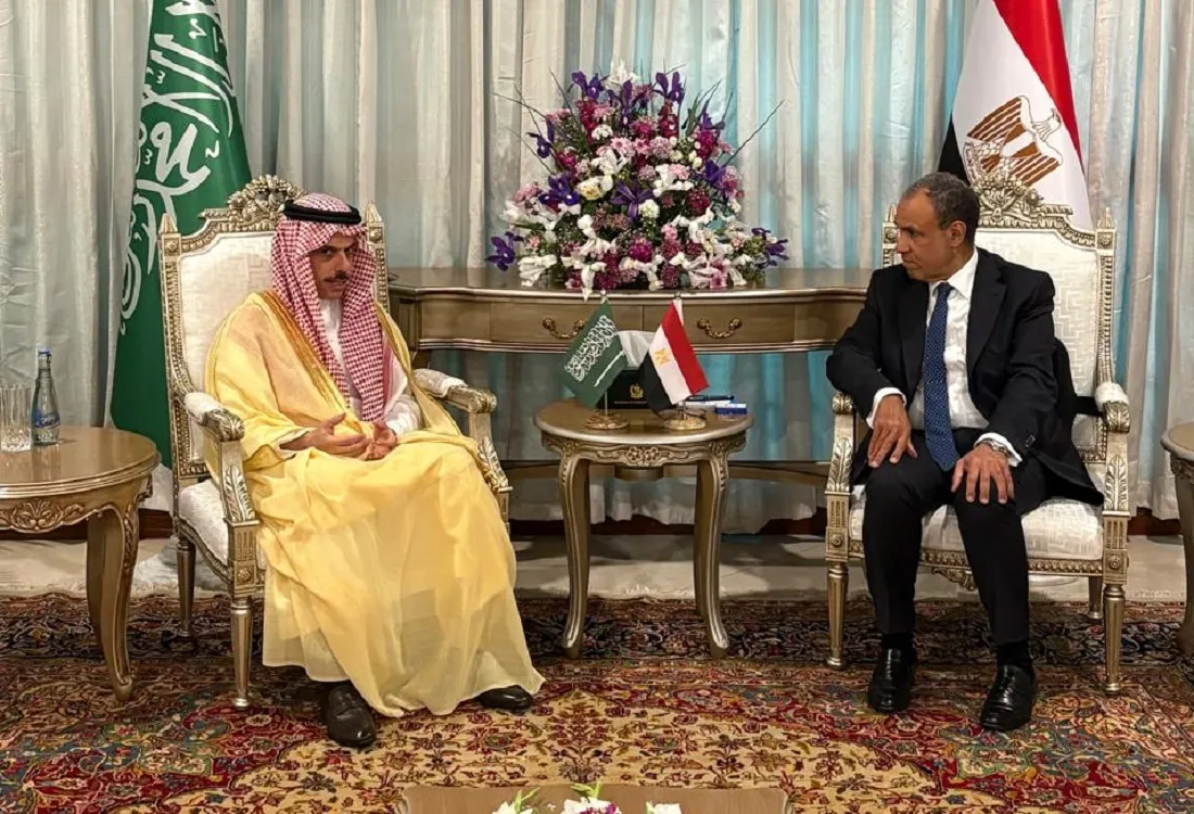 وزير الخارجية المصري ونظيره السعودي