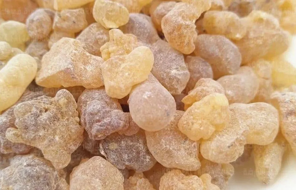 اللبان الدكر(الكندر)