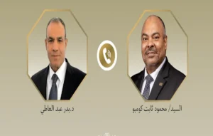 وزير الخارجية المصري ونظيره التنزاني