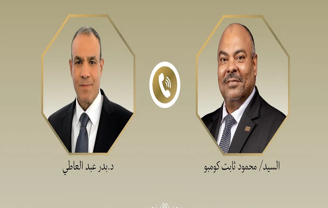 وزير الخارجية المصري ونظيره التنزاني