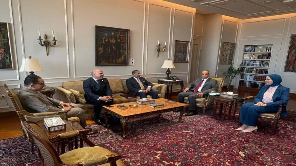 اجتماع وزير الخارجية المصري مع رئيس المصرف العربي والتنمية الاقتصادية في أفريقيا