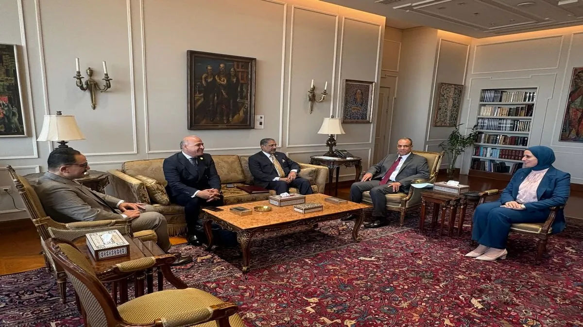 اجتماع وزير الخارجية المصري مع رئيس المصرف العربي والتنمية الاقتصادية في أفريقيا