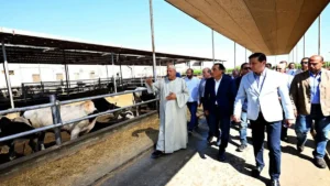 مدبولي خلال جولته بمزرعة العمار