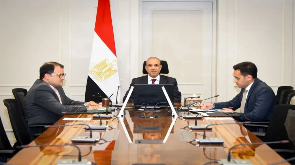 لقاء افتراضي عن طريق الفيديو كونفرانس بين وزير الخارجية المصري ونظيره في دولة سيشل