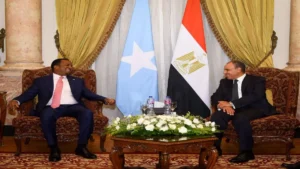 استقبال وزير الخارجية المصري لنظيره الصومالي