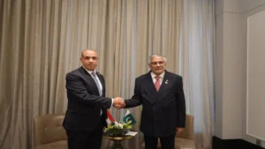 صورة قبل لقاء وزير الخارجية المصري مع نظيره الباكستاني