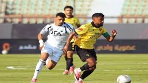 زد ووادي دجلة في الدوري المصري