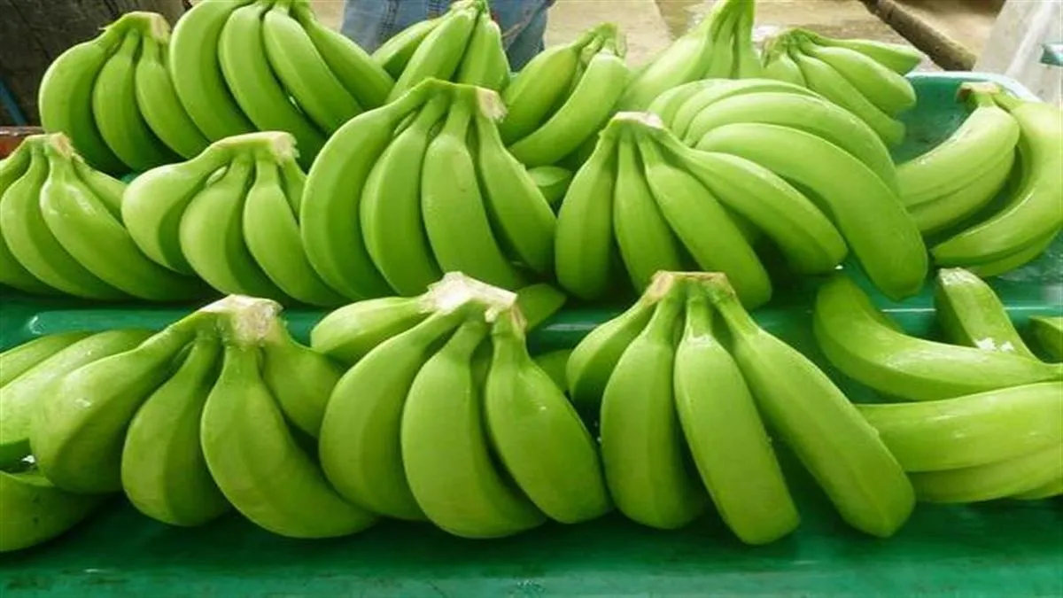 فوائد الموز الأخضر وتأثيره على سكر الدم وصحة الجهاز الهضمي